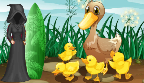 &p=duckblaster